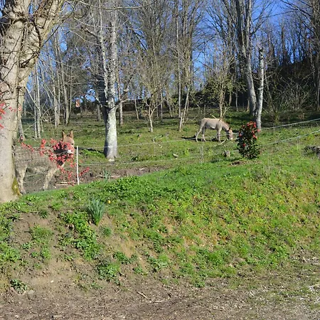 Du Chateau De Lestang Apartament Auzits