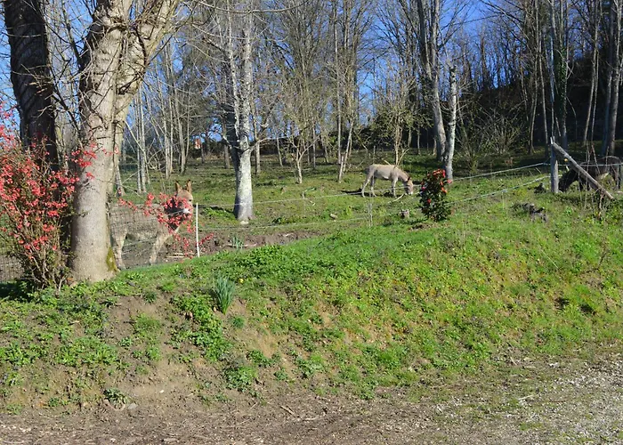Du Chateau De Lestang Lägenhet Auzits